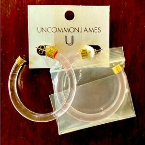 Uncommon James Pink Resin Hoop Earrings NWT